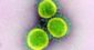 Covid-19 Novel Corona Virus Latest News Update